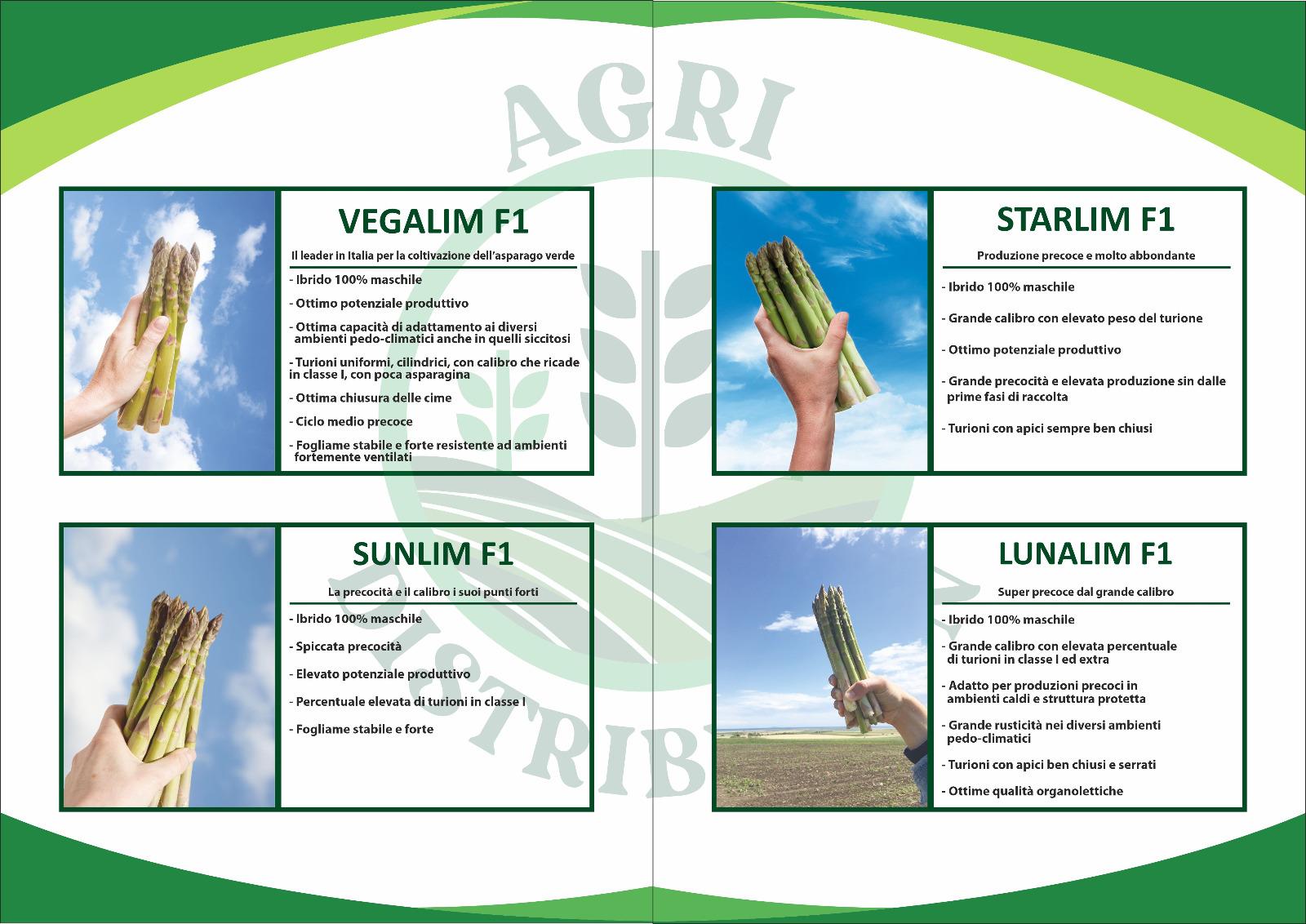 Anteprima depliant Agri Distribution - pagina 2